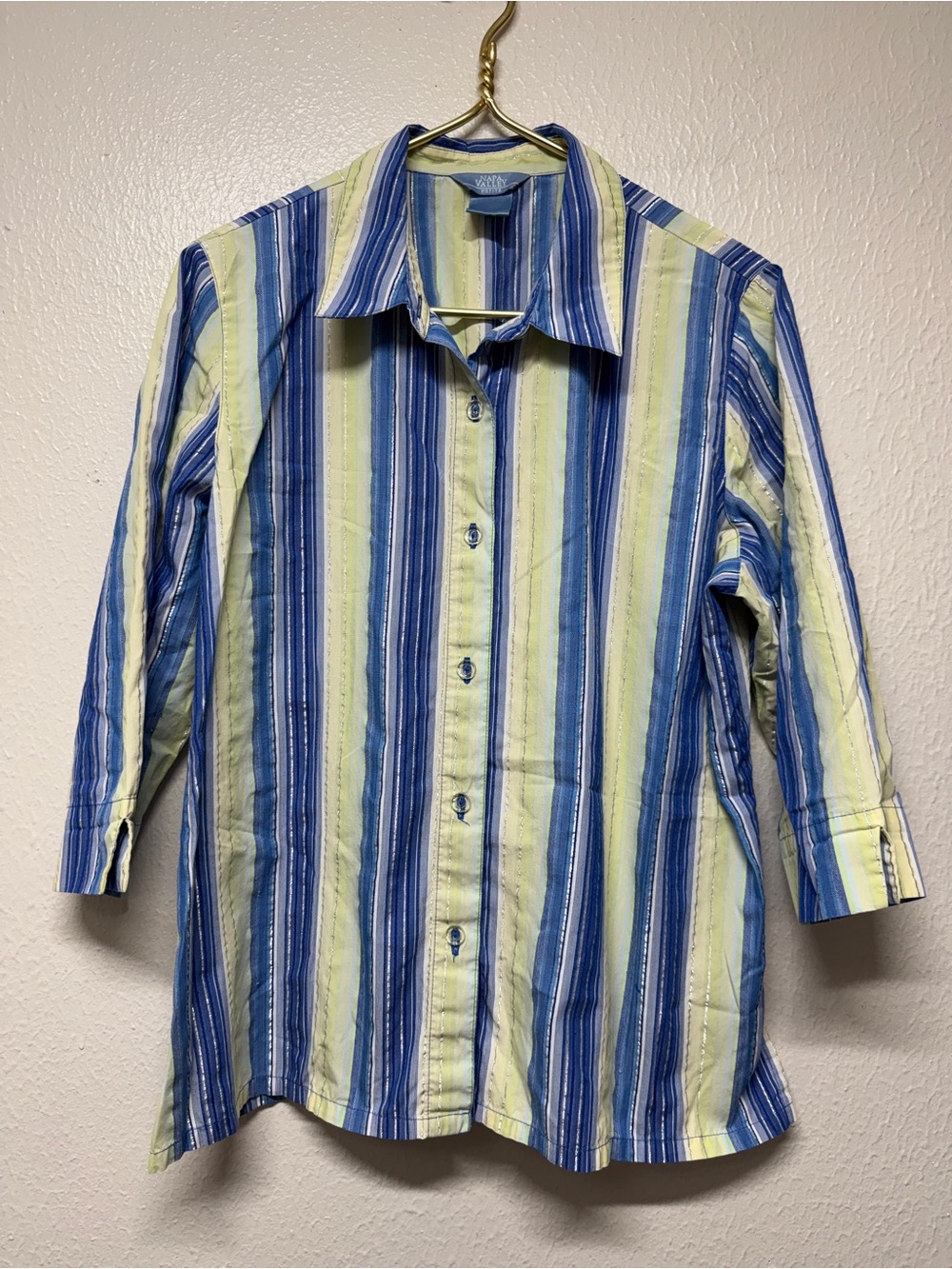 Vintage Napa Valley Blue and Light Green Striped Button-Up Shirt